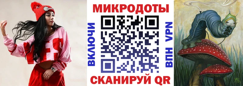 Псилоцибиновые грибы Psilocybine cubensis  Спас-Деменск 